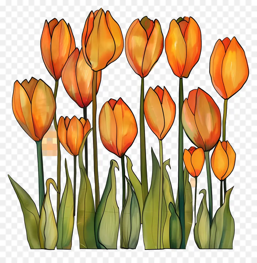Tulip，Orange Tulip PNG