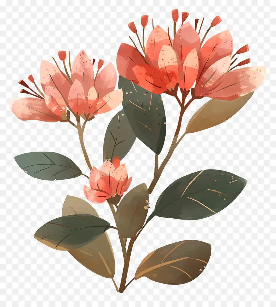 Bunga Semak，Bunga Merah Muda PNG