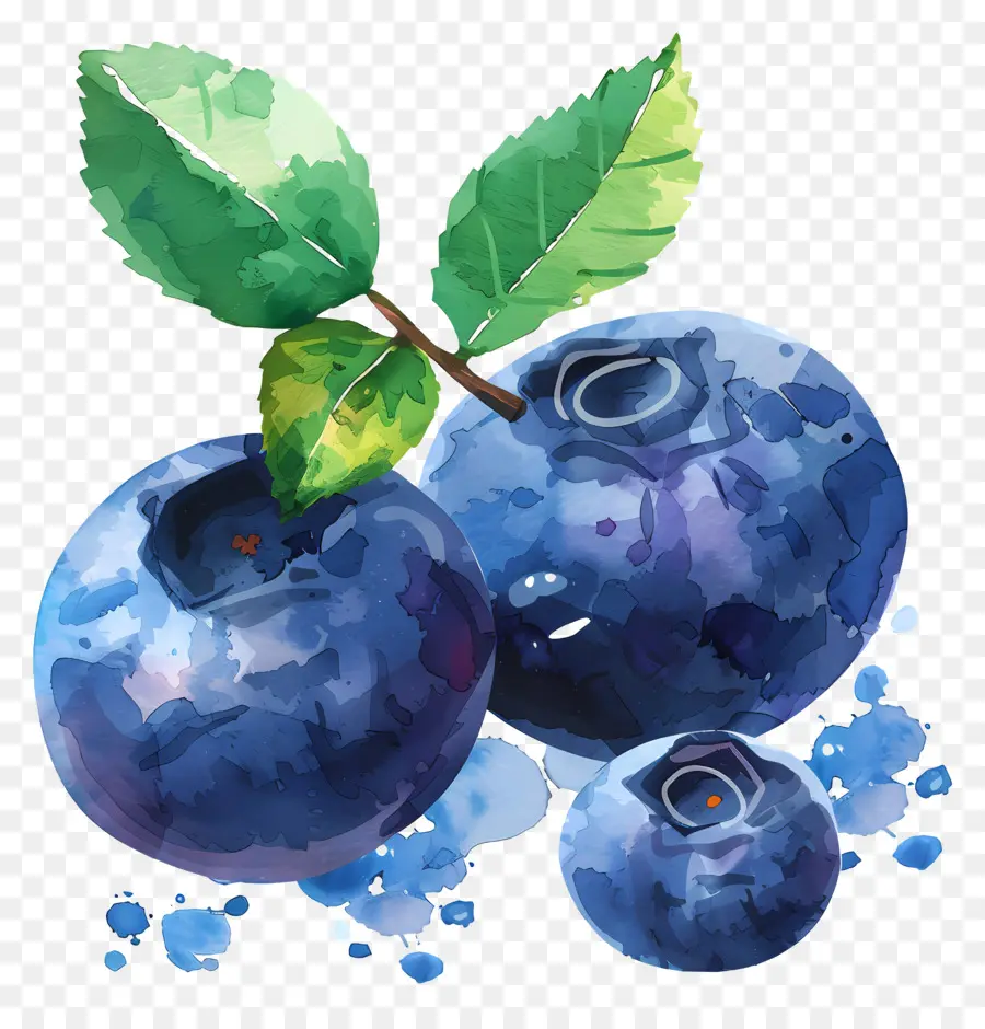 Blueberry，Blueberry PNG
