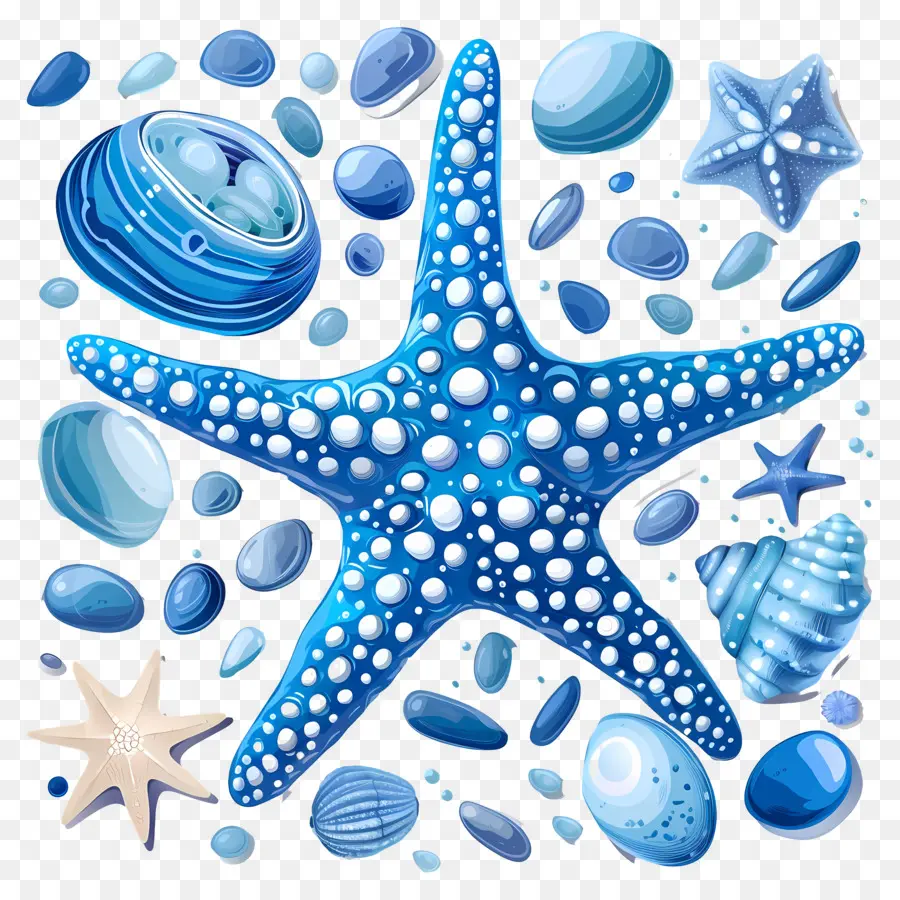 Kerikil，Bintang Laut PNG