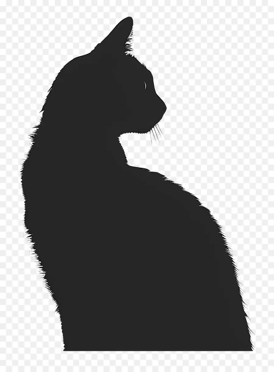 Kucing Siluet，Kucing PNG