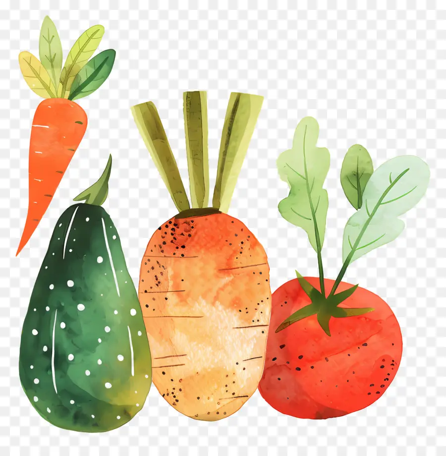 Sayuran，Lukisan Cat Air PNG