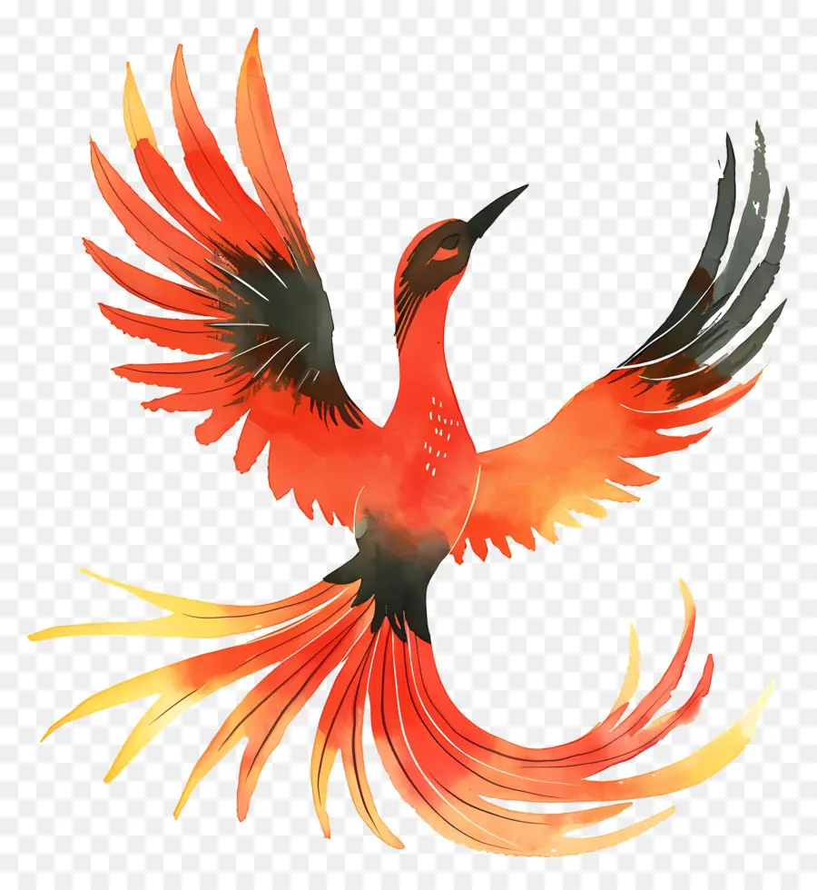 Phoenix，Burung Merah PNG