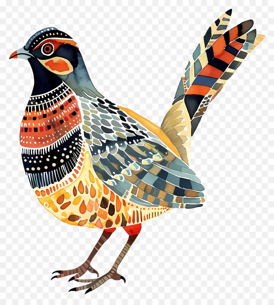 Puyuh，Warna Warni Burung PNG