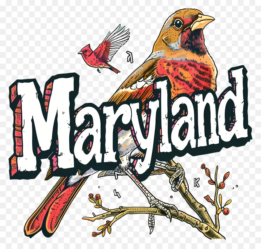 Maryland，Merah Kardinal Burung PNG