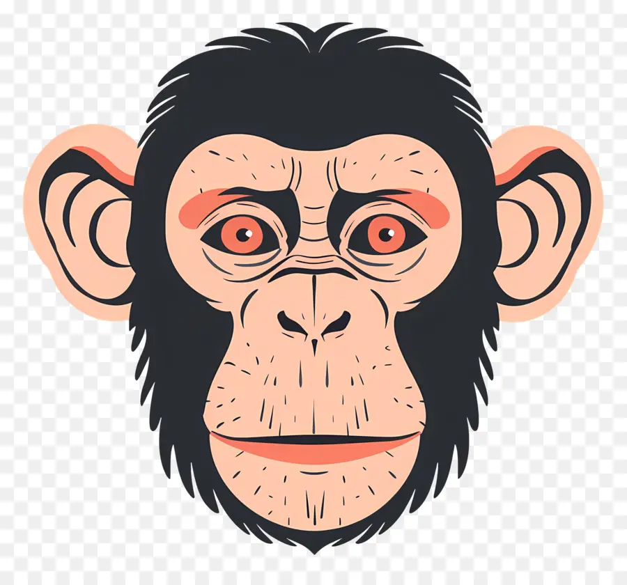 Kepala Monyet，Simpanse PNG