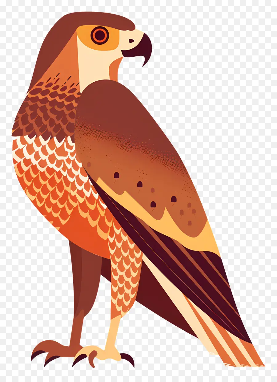 Kartun Hawk，Elang PNG
