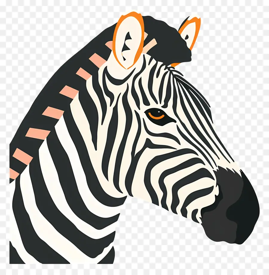 Kepala Zebra，Garis Garis PNG