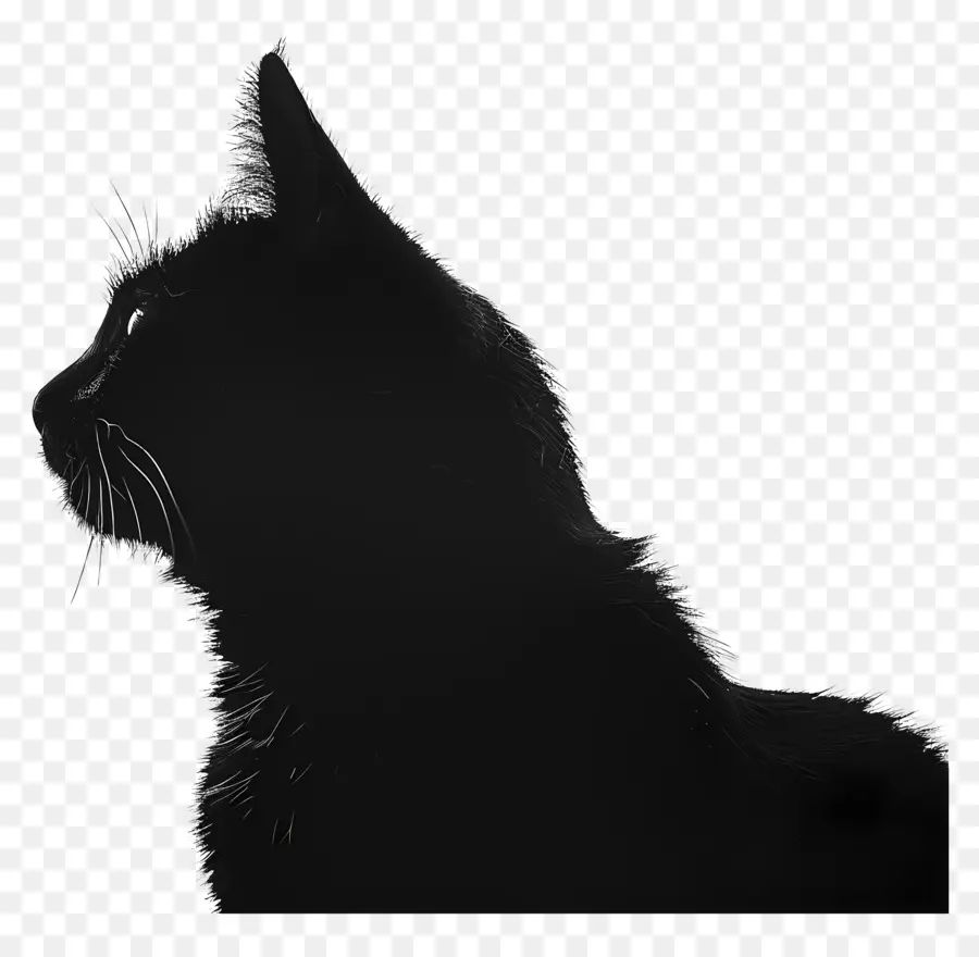 Siluet Kucing，Kucing Hitam PNG