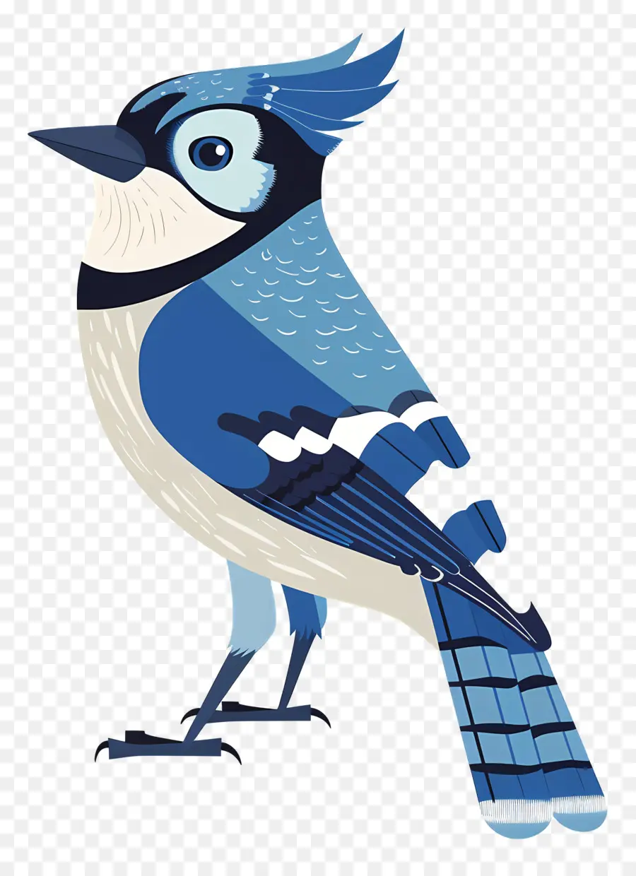 Biru Jay，Blue Bird PNG