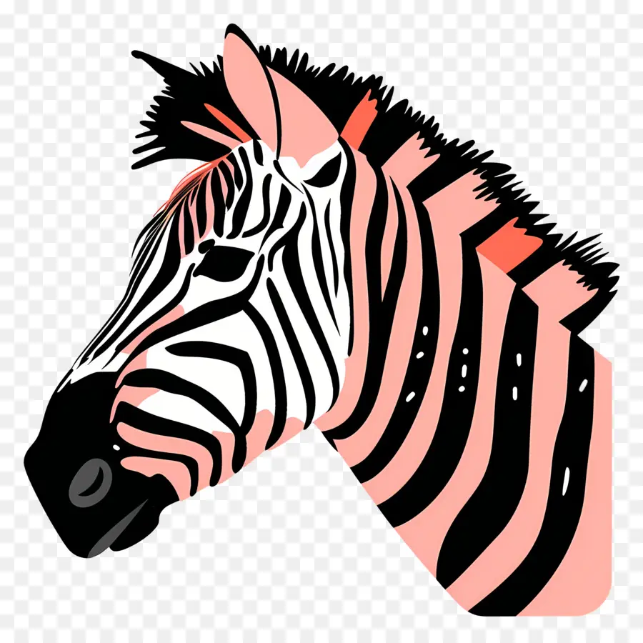 Kepala Zebra，Zebra PNG