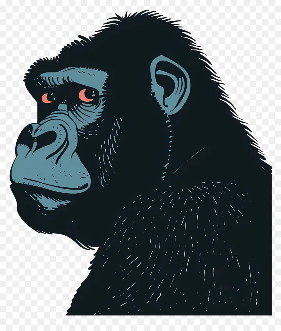 Kartun Gorilla，Gorila PNG