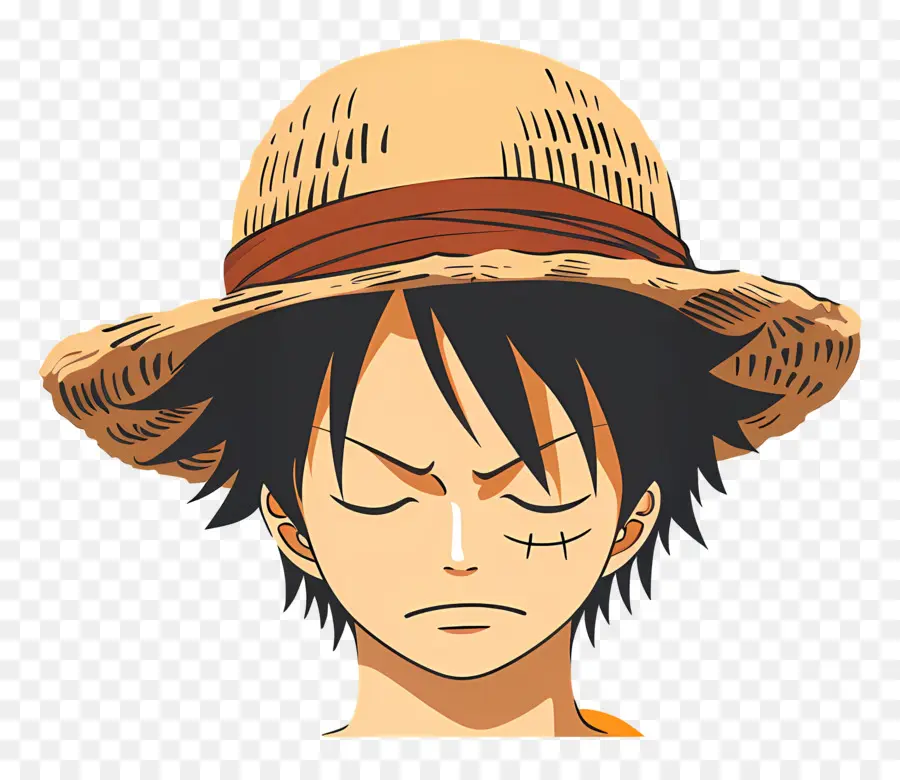 Kepala Luffy，Karakter Topi Jerami PNG