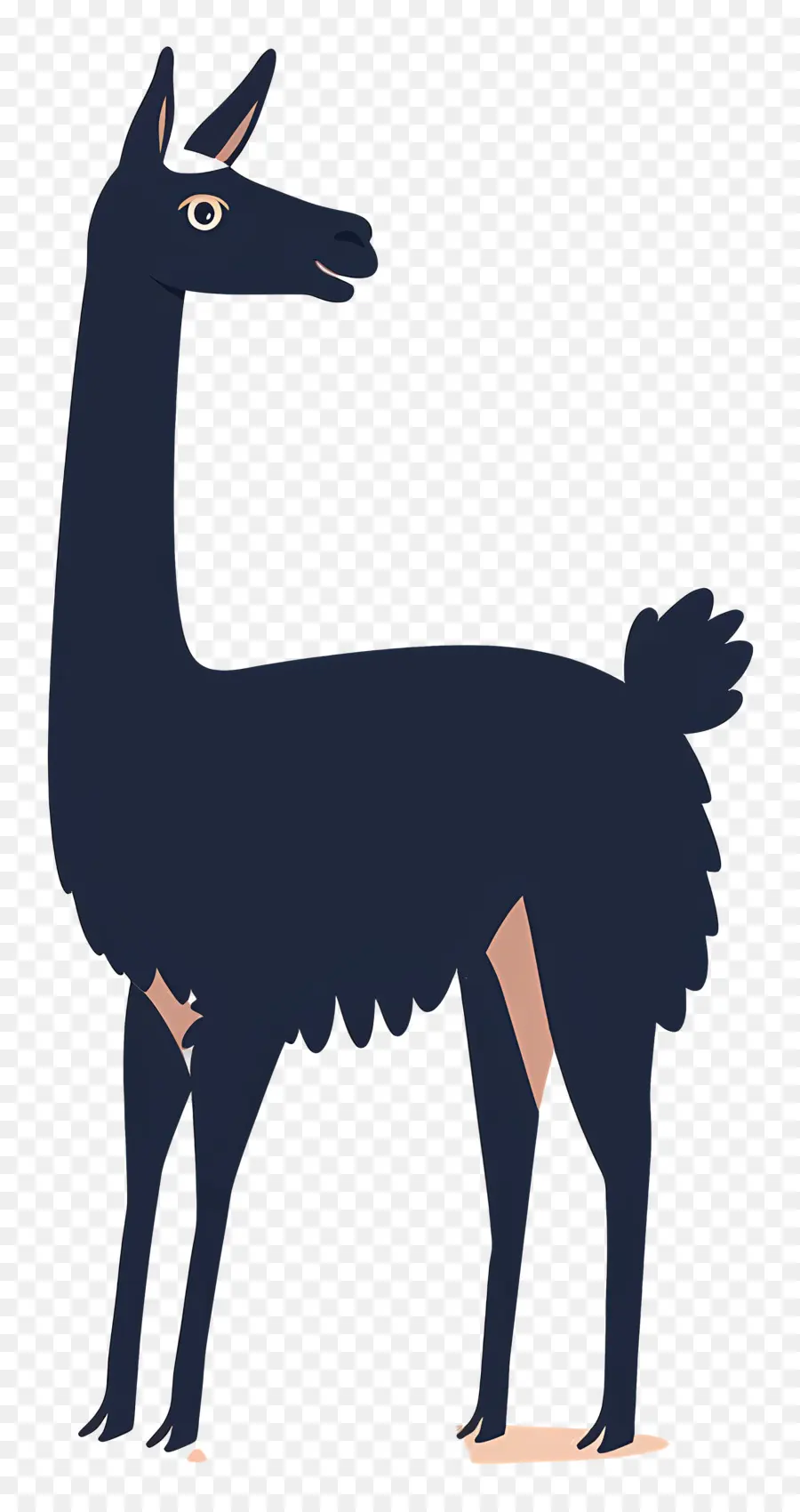 Kartun Llama，Llama Hitam PNG