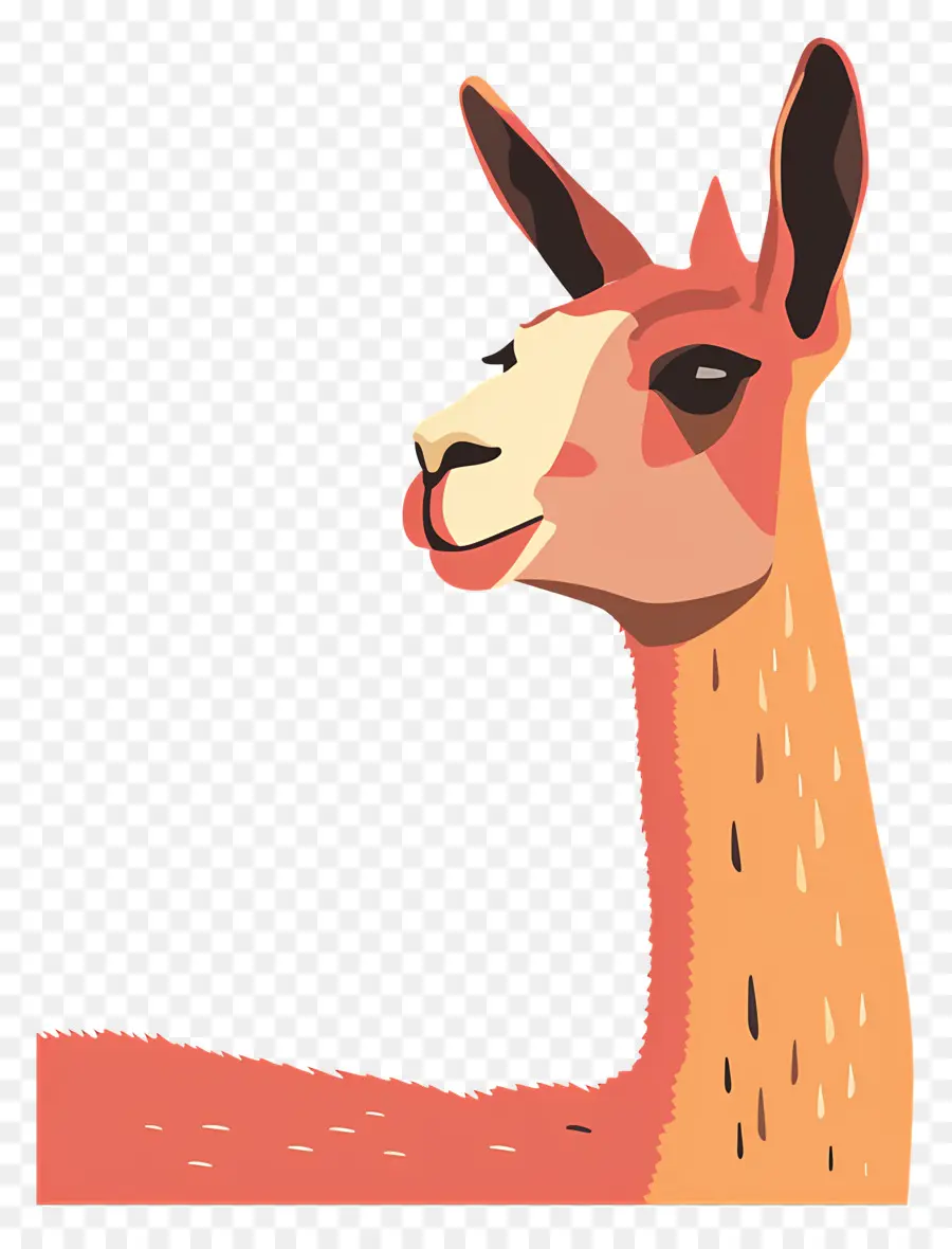 Kartun Llama，Lama PNG