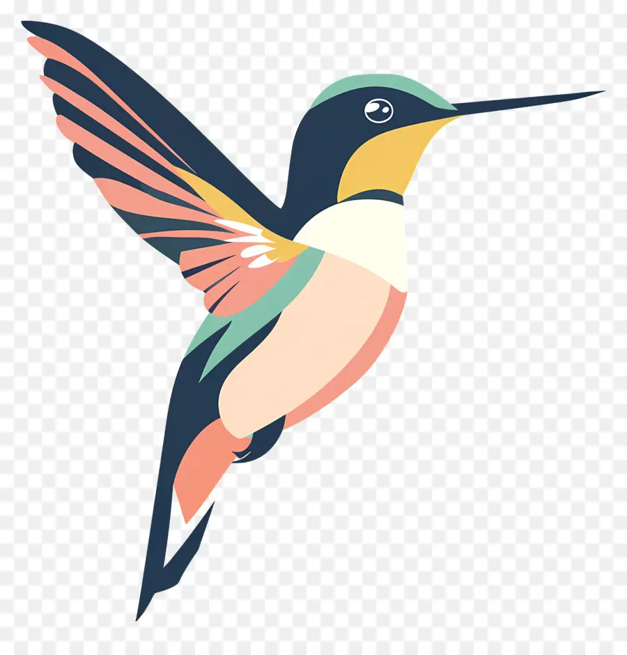 Kartun Hummingbird，Hummingbird PNG