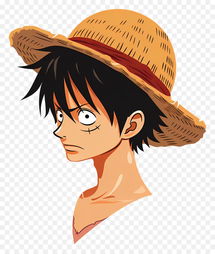 Kepala Luffy，Karakter Anime PNG