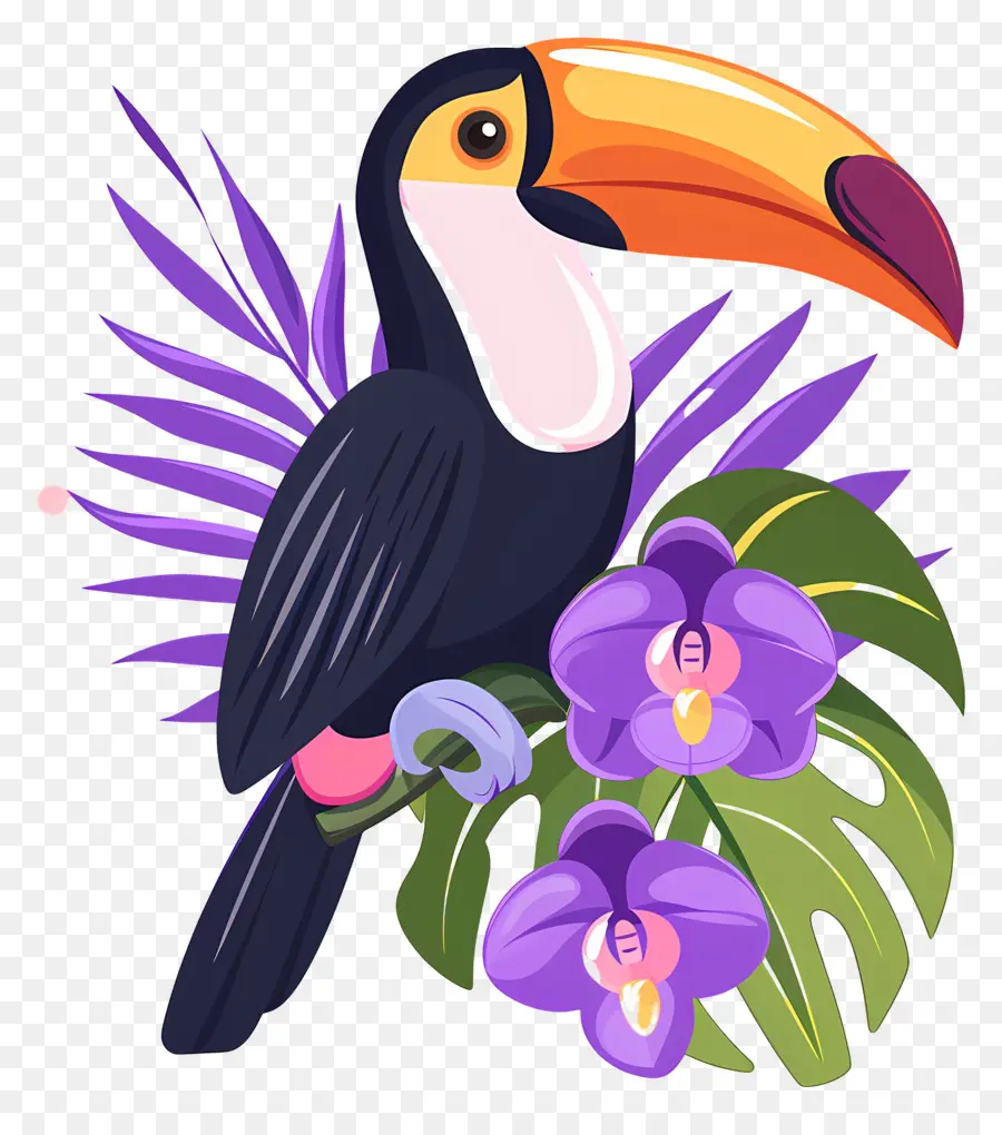 Burung Toucan，Bunga PNG