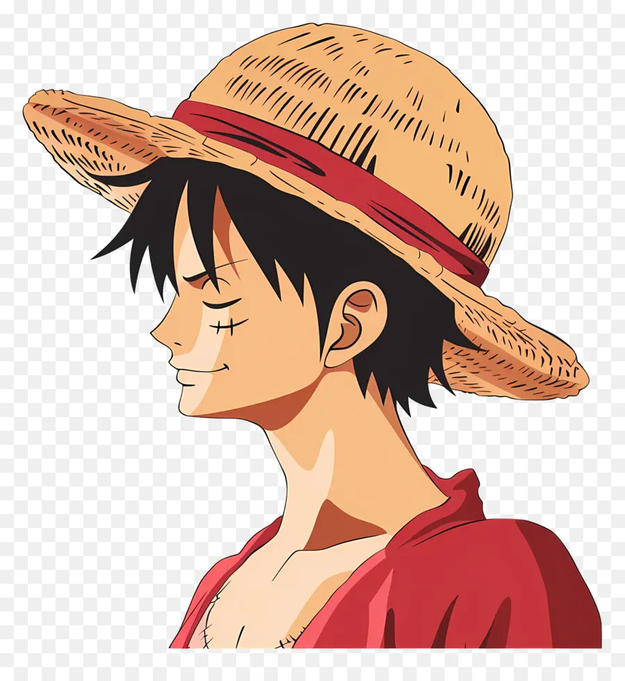 Kepala Luffy，Karakter Topi Jerami PNG