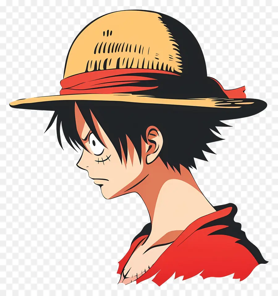 Kepala Luffy，Karakter Anime PNG