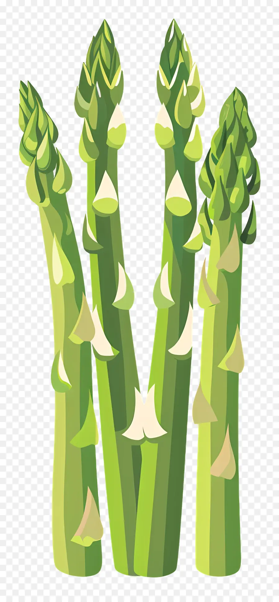 Asparagus，Segar PNG