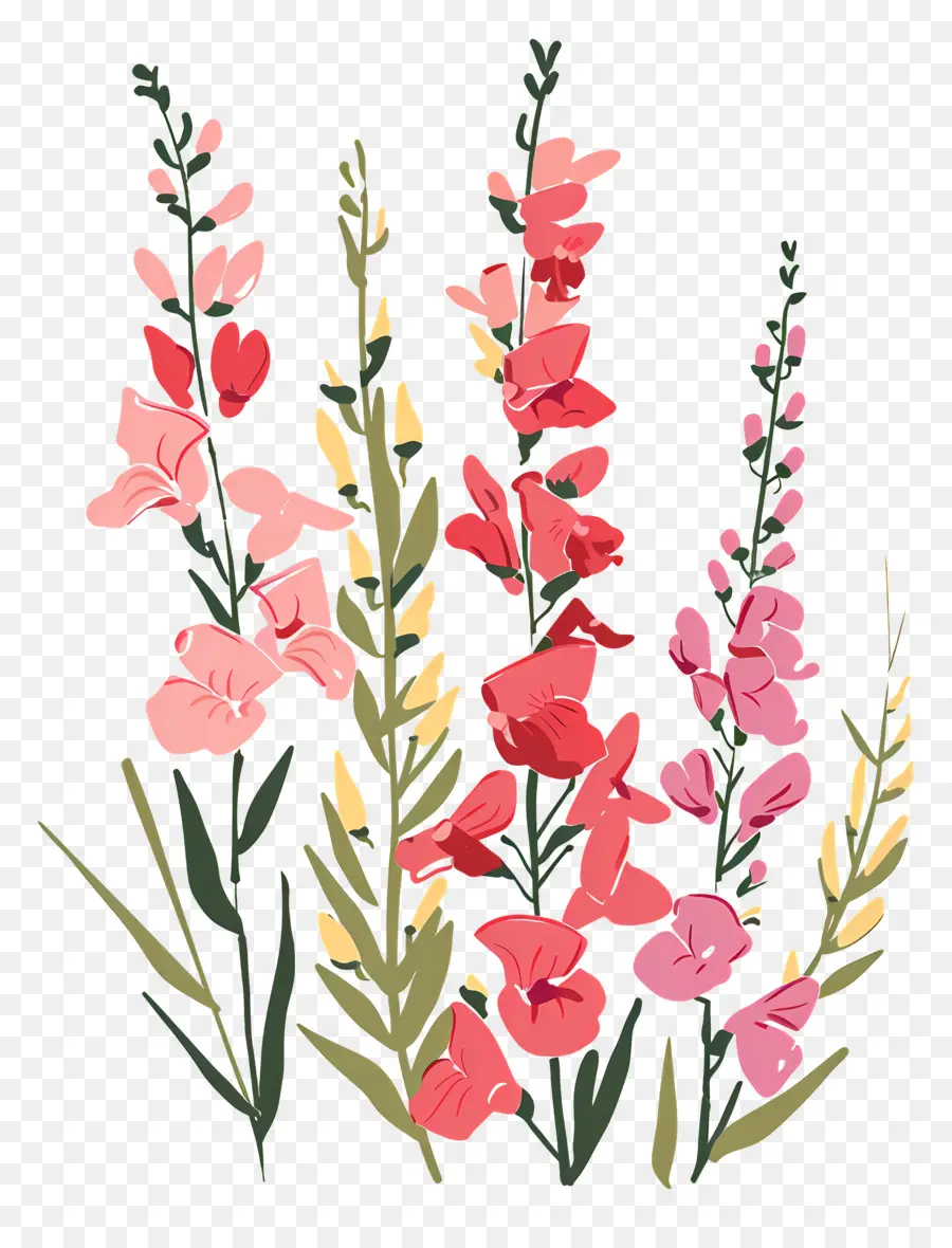 Snapdragon，Bunga Merah Muda PNG