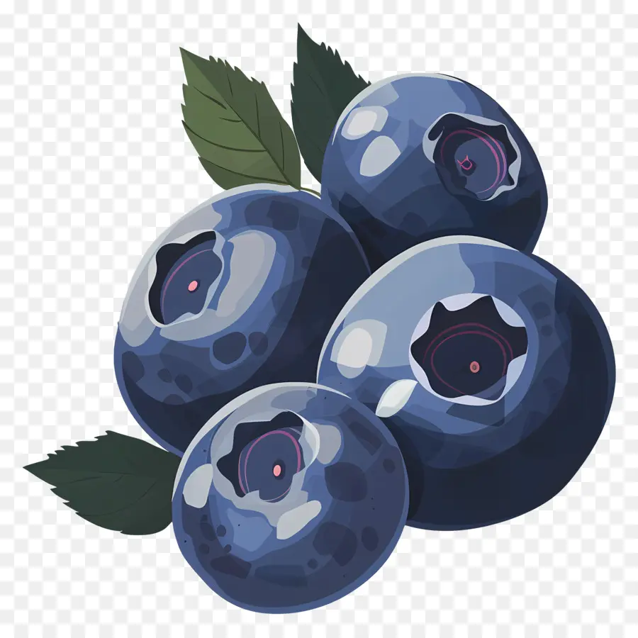 Blueberry，Buah Beri PNG