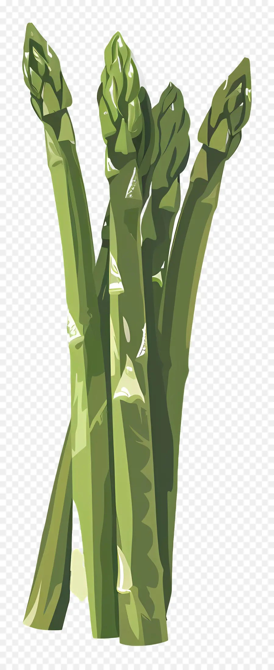 Asparagus，Sehat PNG