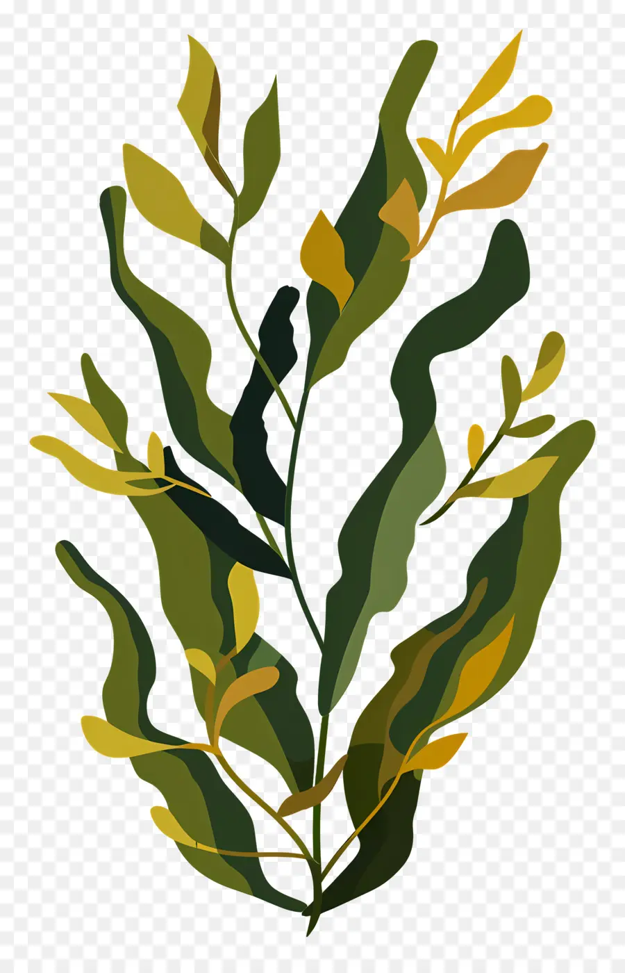 Kelp，Rumput Laut PNG