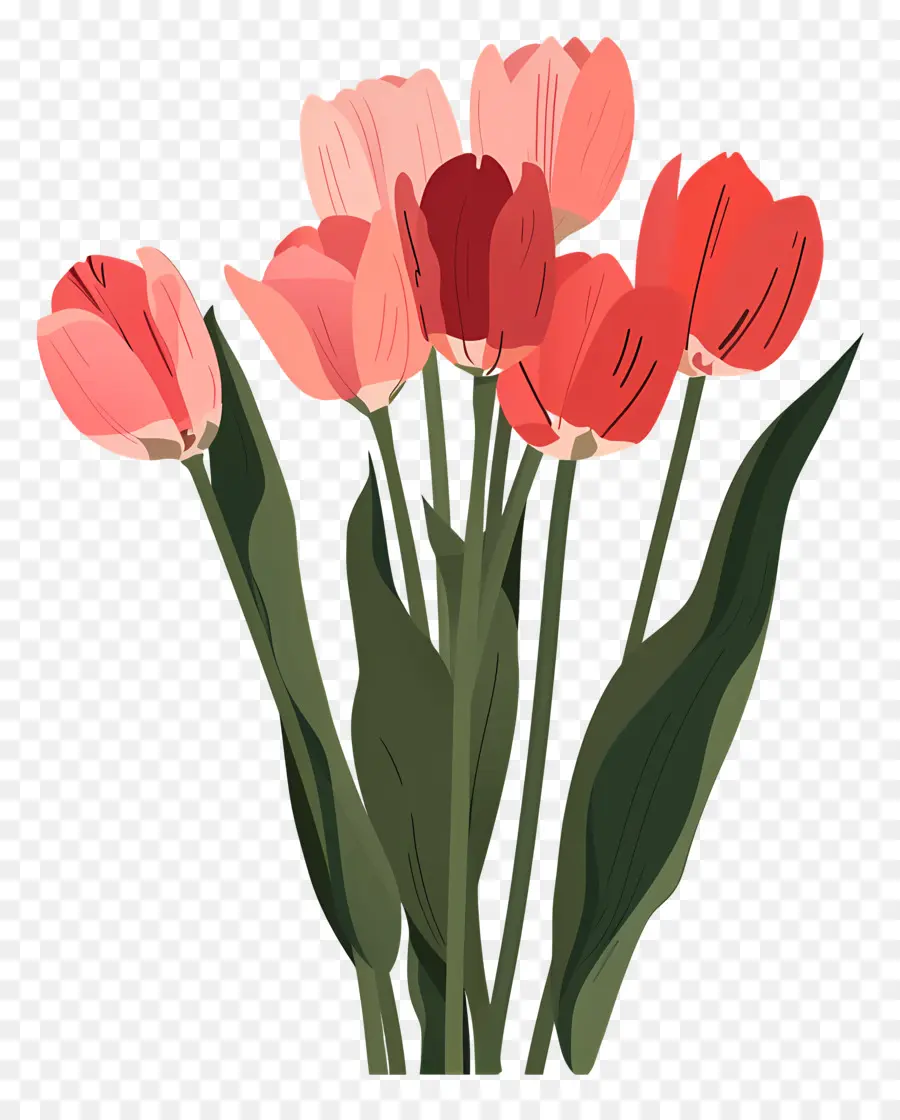 Buket Bunga Tulip，Buket Tulip PNG