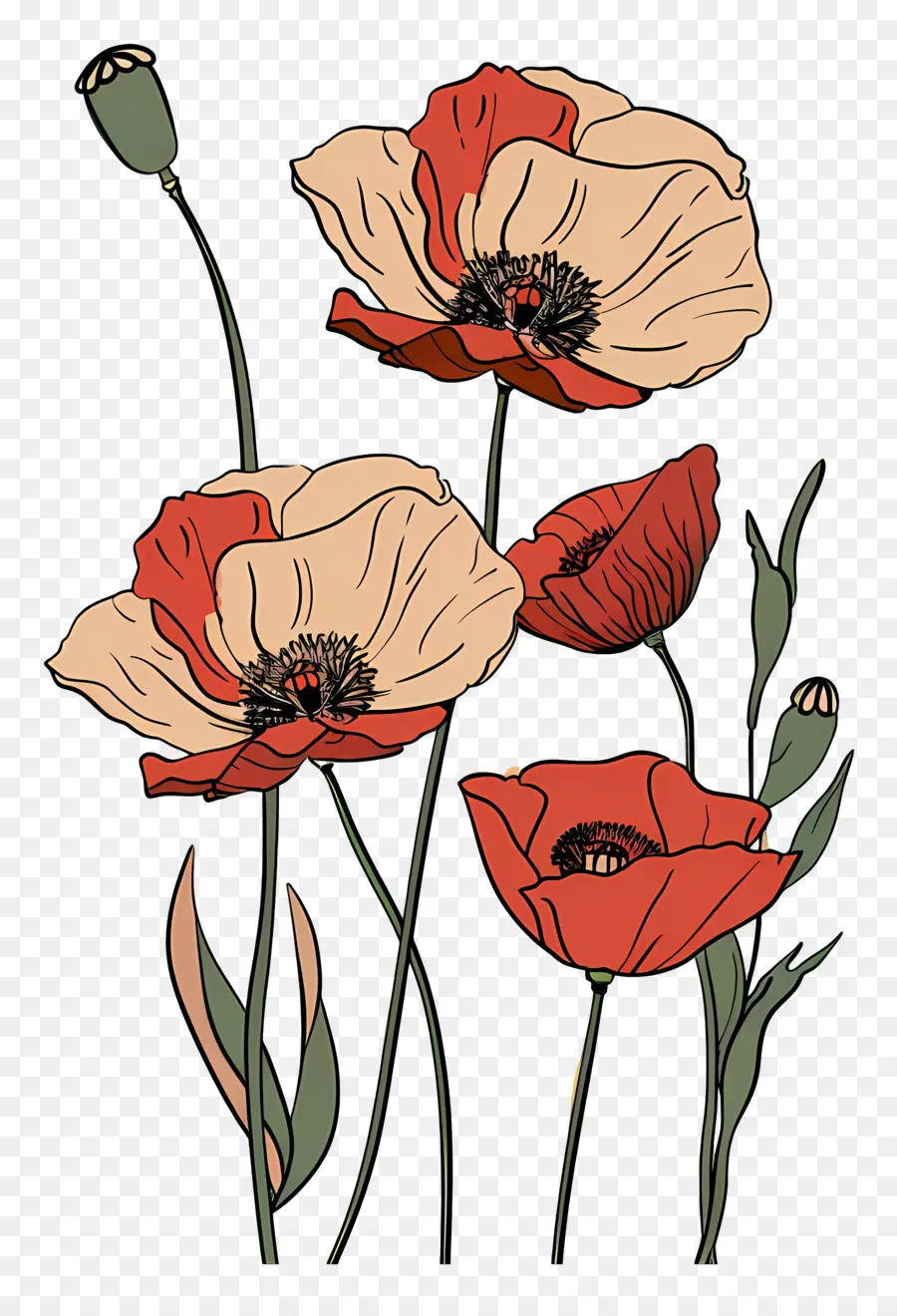 Poppies，Poppy Bunga PNG