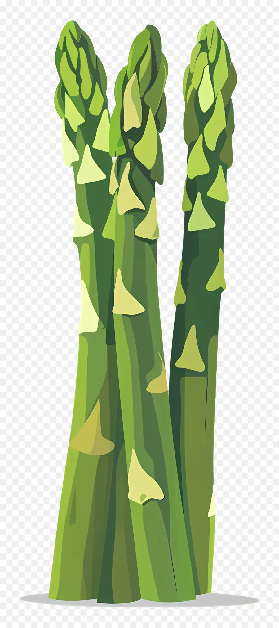 Asparagus，Kartun PNG