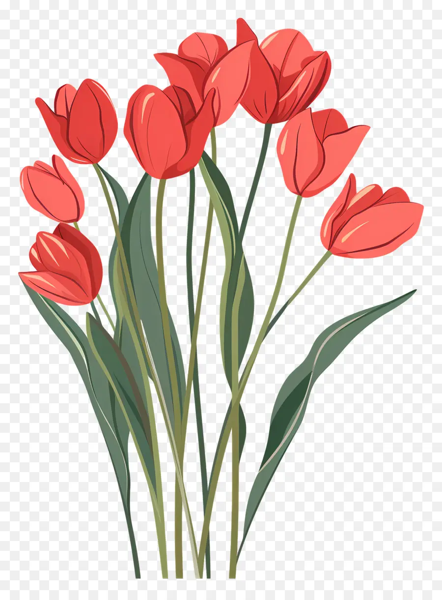 Buket Bunga Tulip，Tulip PNG