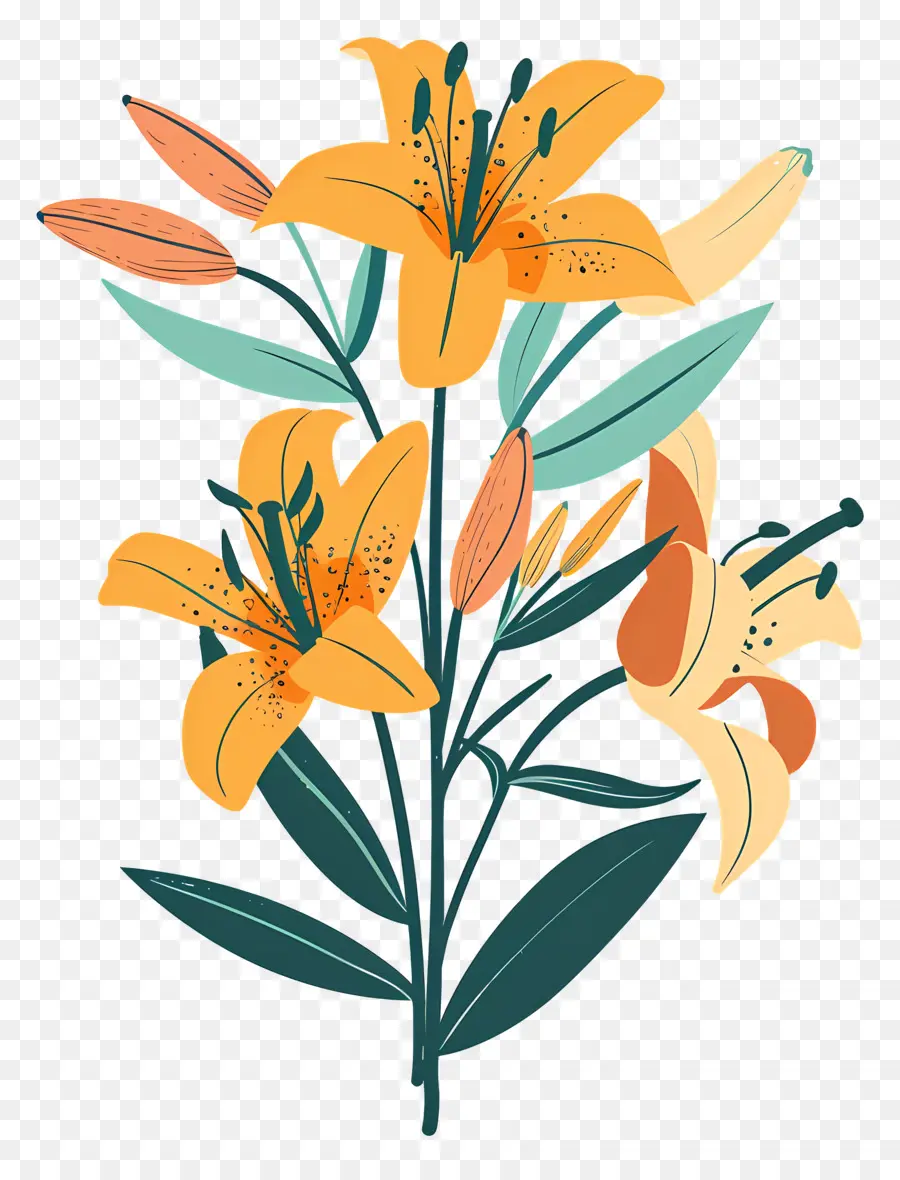 Buket Lily，Lili Oranye PNG