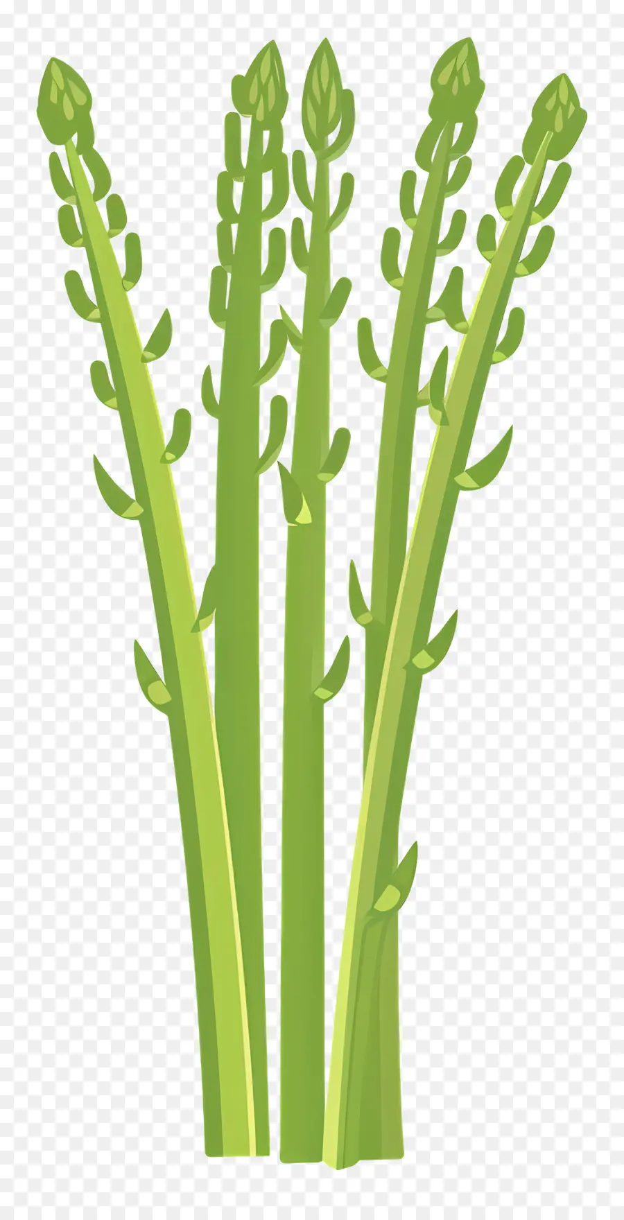 Asparagus，Sayuran PNG