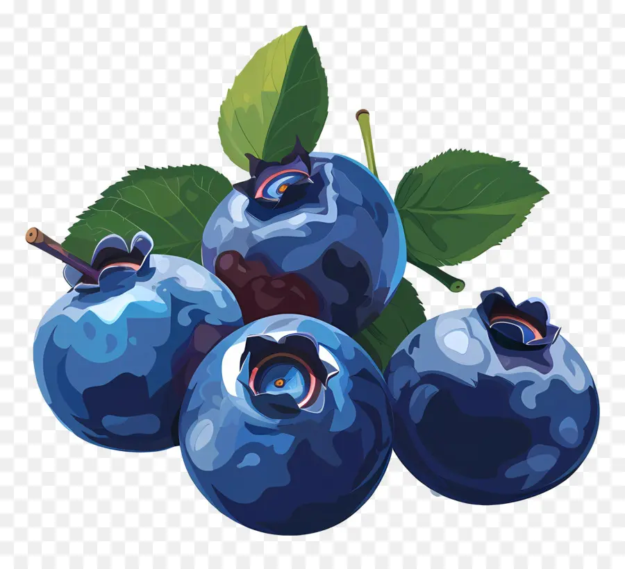 Blueberry，Daun Daun PNG