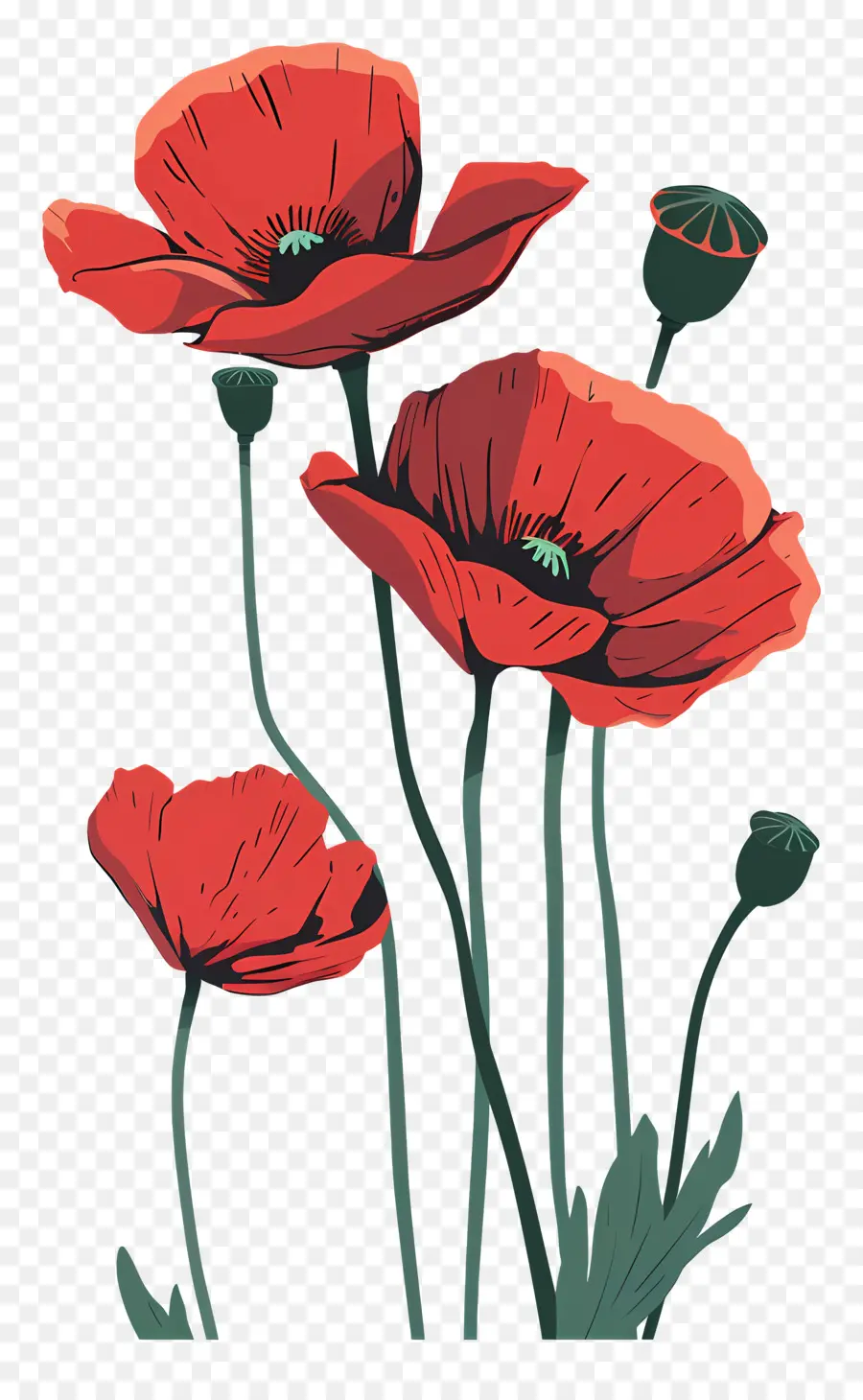 Poppies，Bunga Poppy Merah PNG