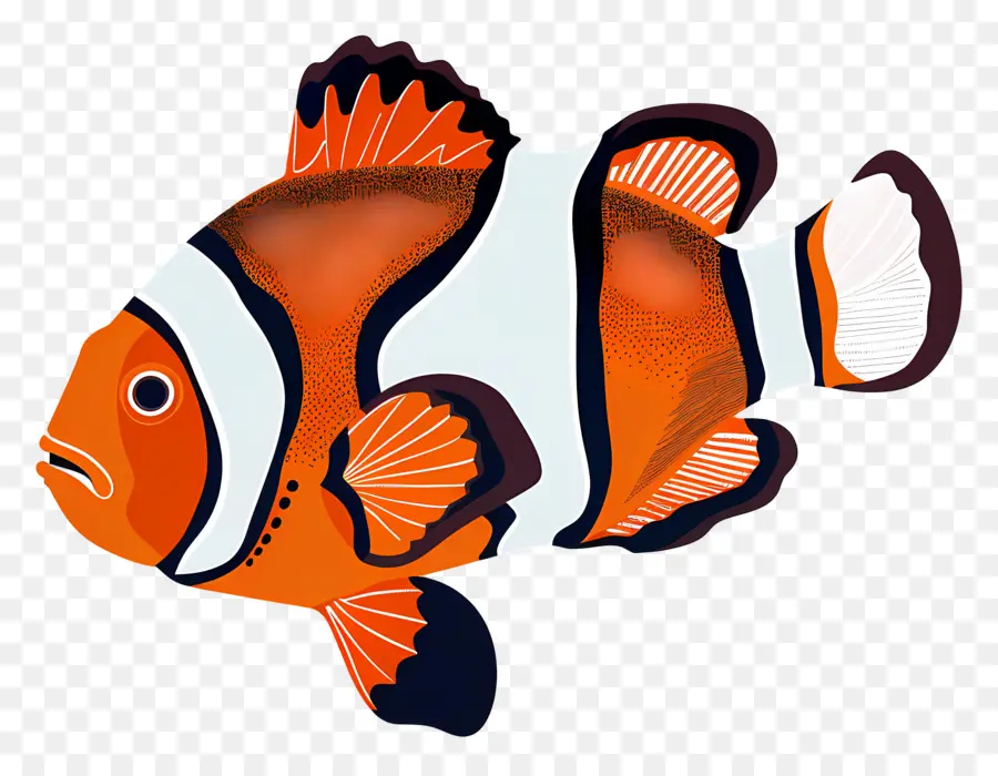 Clownfish，Ikan Badut PNG