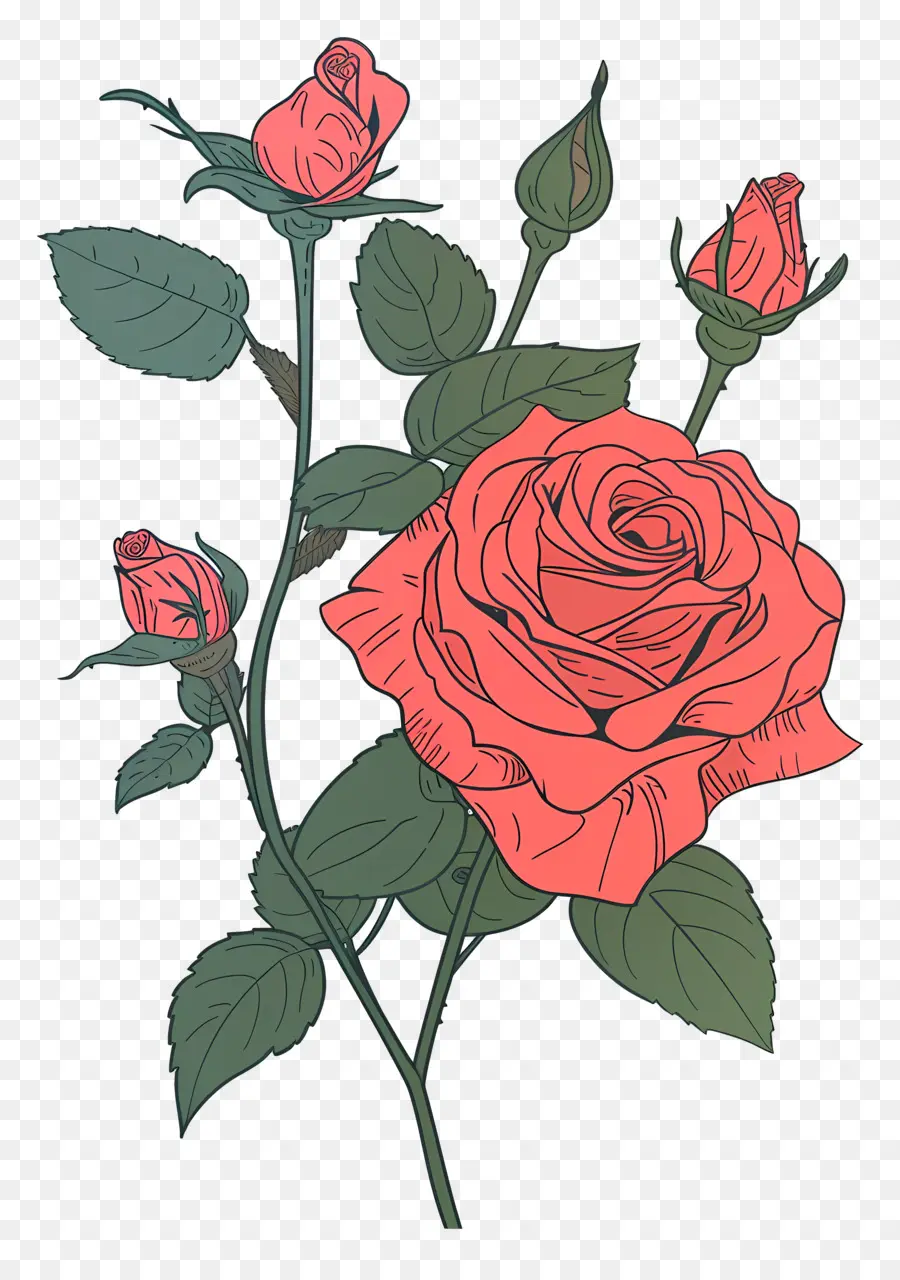 Mawar Merah，Pink Rose PNG