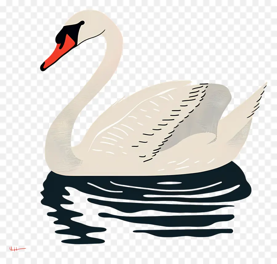 Swan Renang，Swan PNG