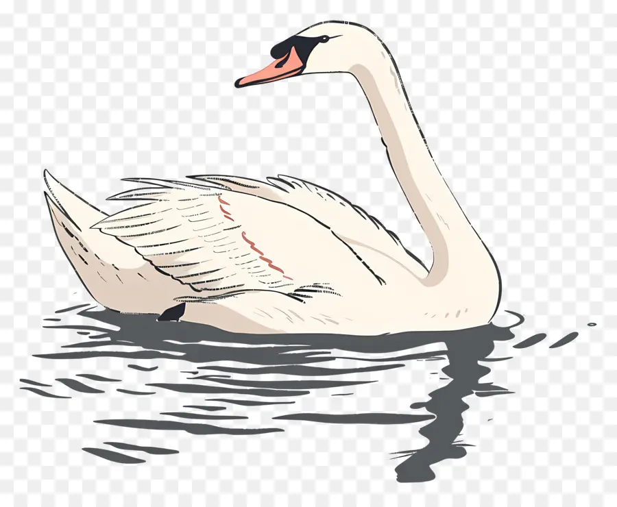 Swan Renang，Swan PNG