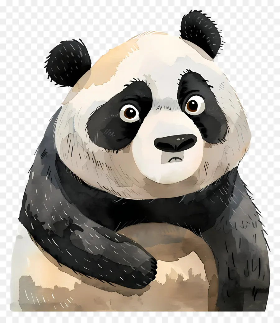 Kartun Panda，Panda Bear PNG