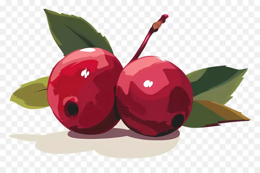 Cranberry，Ceri Matang PNG