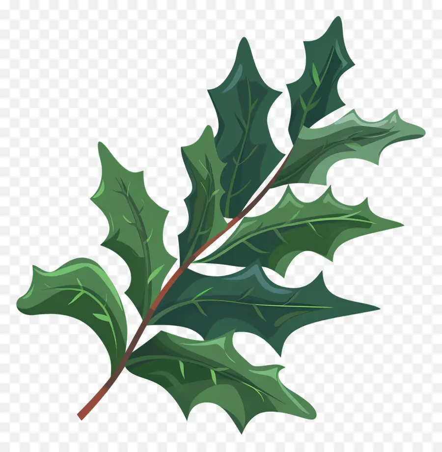 Holly Daun，Holly PNG