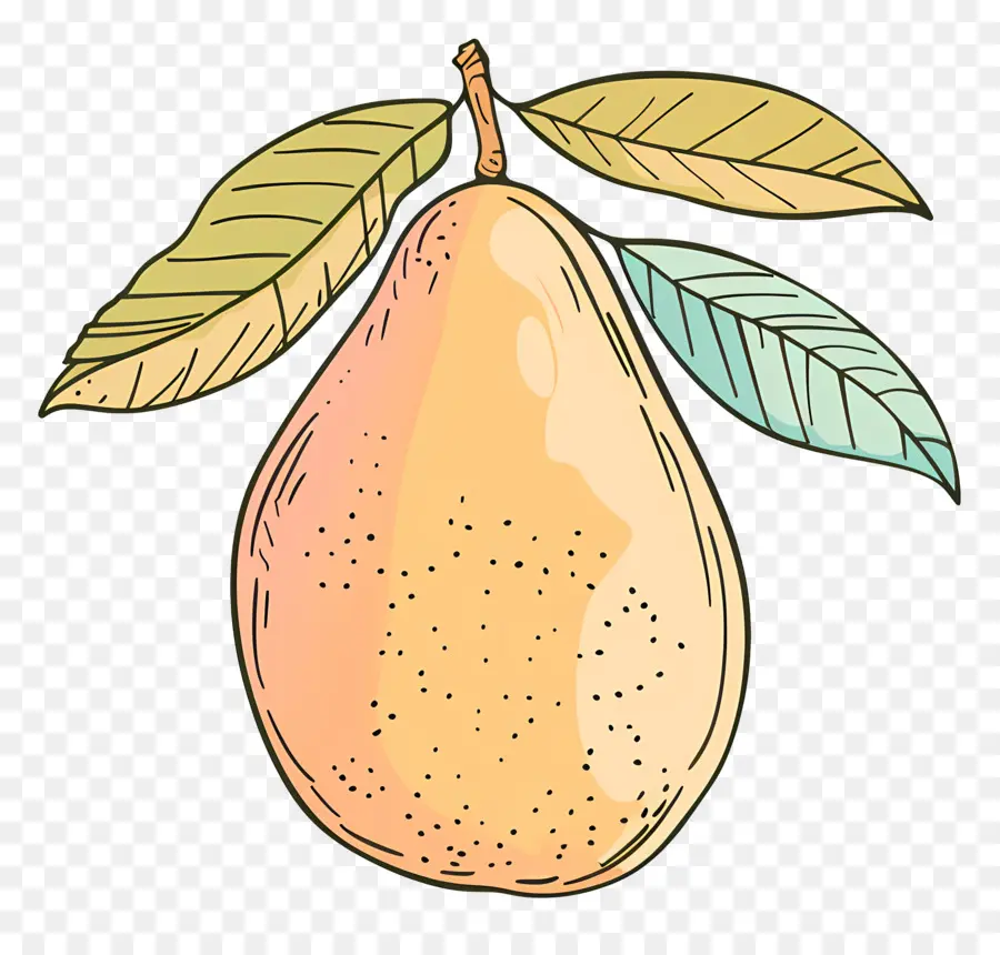 Mangga Doodle，Persik PNG