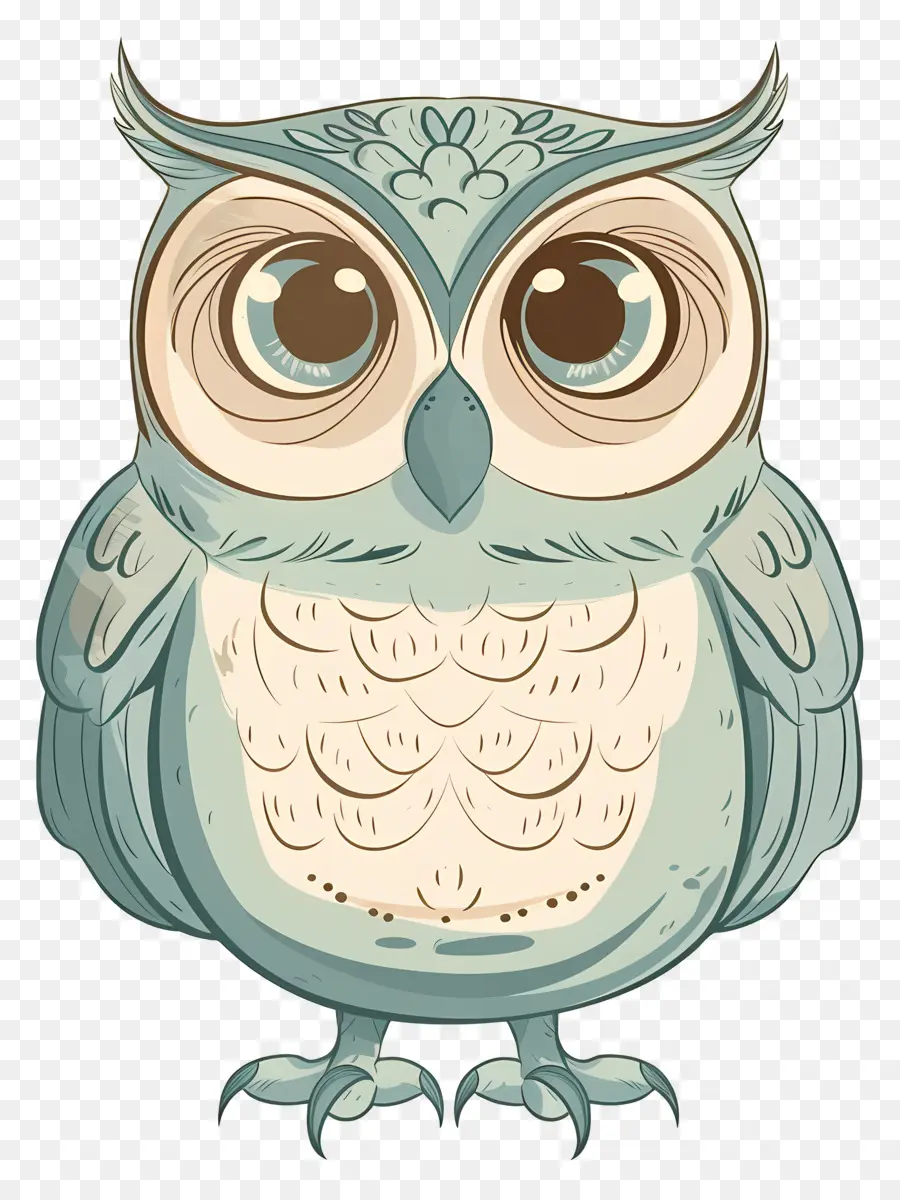 Kartun Owl，Burung Hantu PNG