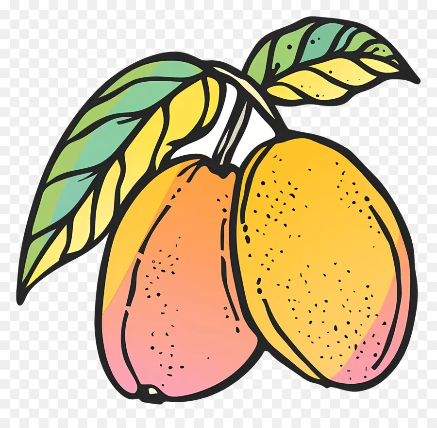 Mangga Doodle，Mangga PNG