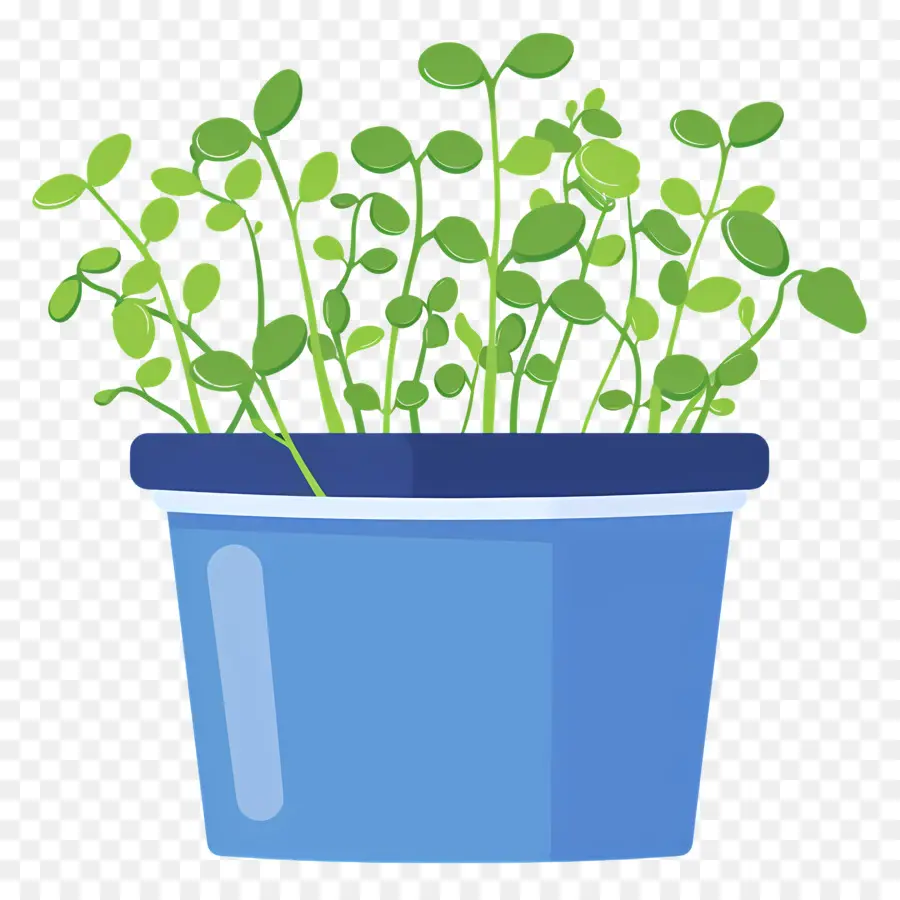 Pot Microgreens，Pot Biru PNG