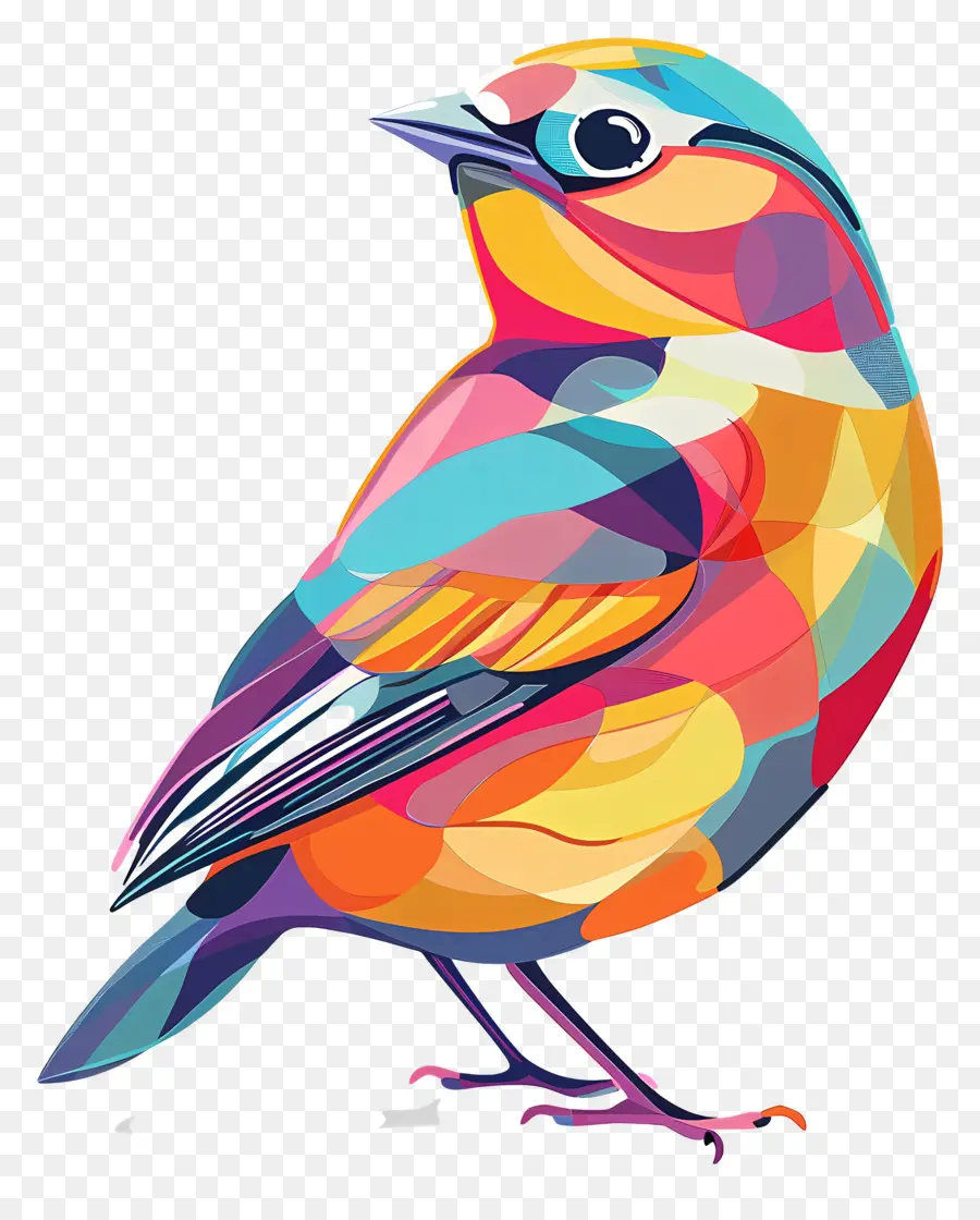 Burung，Warna Warni Burung PNG