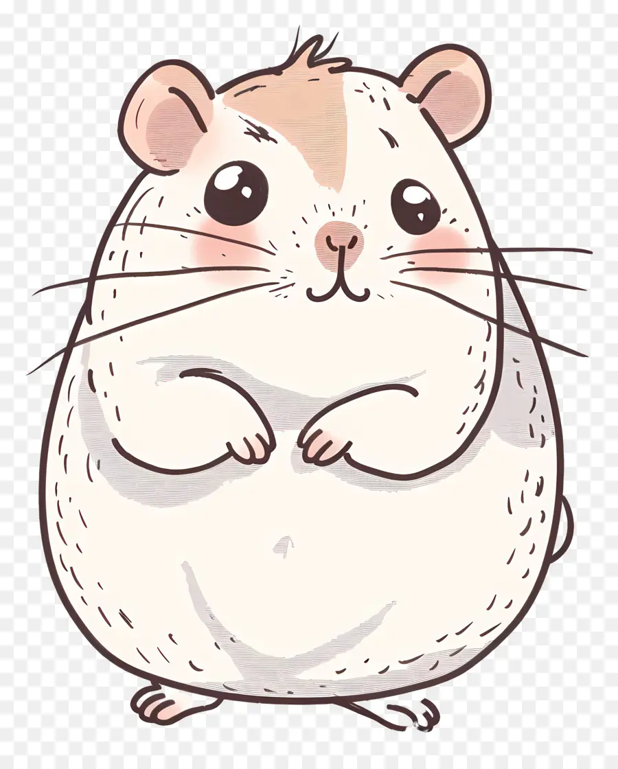 Hamster，Lucu PNG